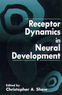 Receptor Dynamics in Neural Development