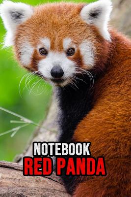 Red Panda Notebook: Lovely Journal / Diary / Notepad, For Kids and Adults Cool To Write In (Lined, 6 x 9) - Press, Pink Panda