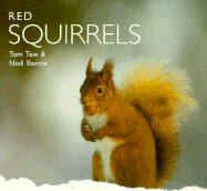 Red Squirrels - Tew, Tom, and Benvie, Niall