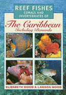 Reef Fishes, Corals and Invertebrates of the Caribbean