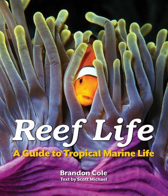 Reef Life: A Guide to Tropical Marine Life - Cole, Brandon, and Michael, Scott