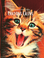 Regards curieux des Chatons C?lins: Album photo en couleur avec de magnifiques chatons.