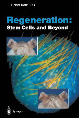 Regeneration: Stem Cells and Beyond - Heber-Katz, Ellen (Editor)