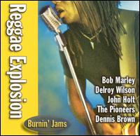 Reggae Explosion [Delta] - Various Artists