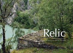 Relic: Land/water and the Visual Arts - Wells, Liz (Editor), and Standing, Simon (Editor)