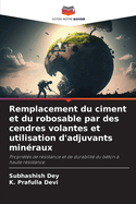 Remplacement du ciment et du robosable par des cendres volantes et utilisation d'adjuvants min?raux