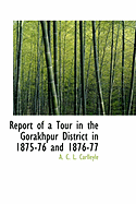 Report of a Tour in the Gorakhpur District in 1875-76 and 1876-77