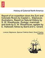 Report of an Expedition Down the Zuni and Colorado Rivers by Captain L. Sitgreaves Illustrations. Report on Natural History by S. W. Woodhouse. Zoology: Mammals and Birds by S. W. Woodhouse; Reptiles by E. Hallowell; Fishes by Baird and C. Girard.