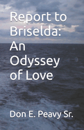 Report to Bridselda: An Odyssey of Love
