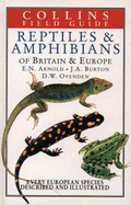 Reptiles and Amphibians of Britain & Europe - Arnold, Edwin Nicholas, and Chef Arnold, and Ovenden, Denys