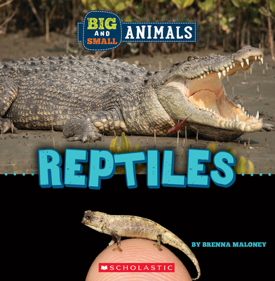 Reptiles (Wild World: Big and Small Animals) - Maloney, Brenna