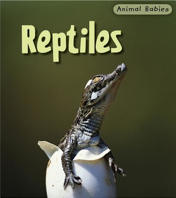 Reptiles - Theodorou, Rod