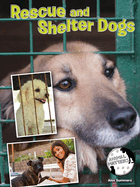 Rescue and Shelter Dogs