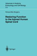 Restoring Function to the Injured Human Spinal Cord