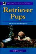 Retriever Pups