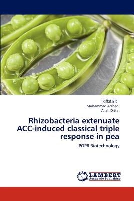 Rhizobacteria extenuate ACC-induced classical triple response in pea - Bibi, Riffat, and Arshad, Muhammad, and Ditta, Allah