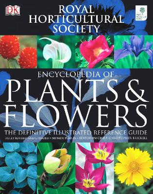 RHS Encyclopedia of Plants & Flowers - Dorling Kindersley, and Brickell, Christopher (Editor-in-chief)