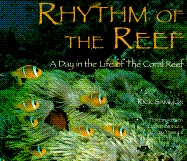 Rhythm of the Reef: A Day in the Life of the Coral Reef - Sammon, Rick