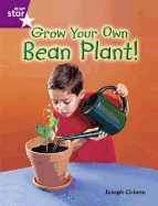 Rigby Star Guided Quest Purple: Grow Your Own Bean Plant!