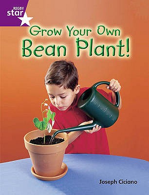 Rigby Star Guided Quest Purple: Grow Your Own Bean Plant! - 