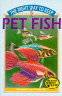 Right Way to Keep Pet Fish