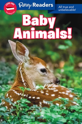 Ripley Readers Level1 Baby Animals - Believe It or Not!, Ripley's (Compiled by)