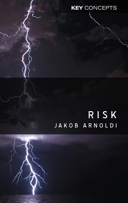 Risk: An Introduction - Arnoldi, Jakob