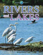 Rivers and Lakes