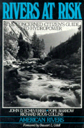 Rivers at Risk: Concerned Citizen's Guide to Hydropower