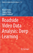 Roadside Video Data Analysis: Deep Learning