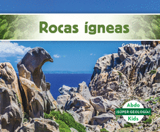 Rocas gneas (Igneous Rocks)