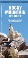 Rocky Mountain Wildlife: A Folding Pocket Guide to Familiar Species