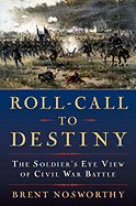 Roll Call to Destiny: The Soldier's Eye View of Civil War Battles