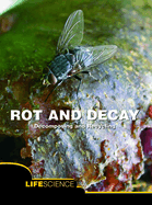 Rot and Decay: Decomposing and Recycling
