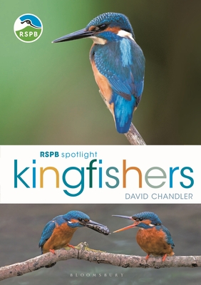 RSPB Spotlight Kingfishers - Chandler, David