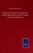 Rudimentary treatise on galvanism, and the general principles of animal and voltaic electricity