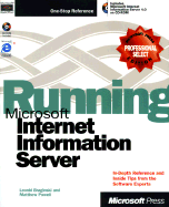 Running Microsoft Internet Information Server