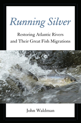 Running Silver: Restoring Atlantic Rivers and Their Great Fish Migrations - Waldman, John, Professor