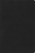 RVR 1960 Biblia de Estudio Arco Iris, negro imitacin piel