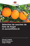 S?lection de souches de lime de Kagzi (C.aurantifolia.S)