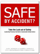 Safe by Accident?: Take the Luck Out of Safety: Leadership Practices That Build a Sustainable Culture - Agnew, Judy L