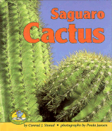 Saguaro Cactus - Storad, Conrad J