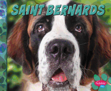 Saint Bernards