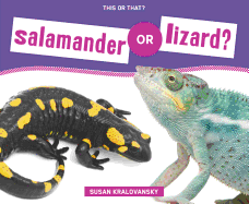 Salamander or Lizard?