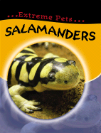 Salamanders - Hibbert, Clare