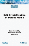 Salt Crystallization in Porous Media