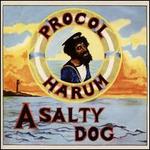 Salty Dog