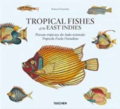 Samuel Fallours: Tropical Fishes of the East Indies - Pietsch, Theodore W