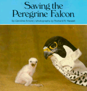 Saving the Peregrine Falcon
