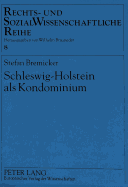 Schleswig-Holstein ALS Kondominium: Die Oesterreichische Verwaltung in Den Elbherzogtuemern